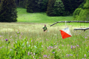 Dates de l’examen probatoire du DE AMM 2026